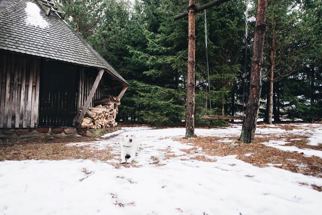 Pakaso Sodyba Kirdeikiai Luaran gambar
